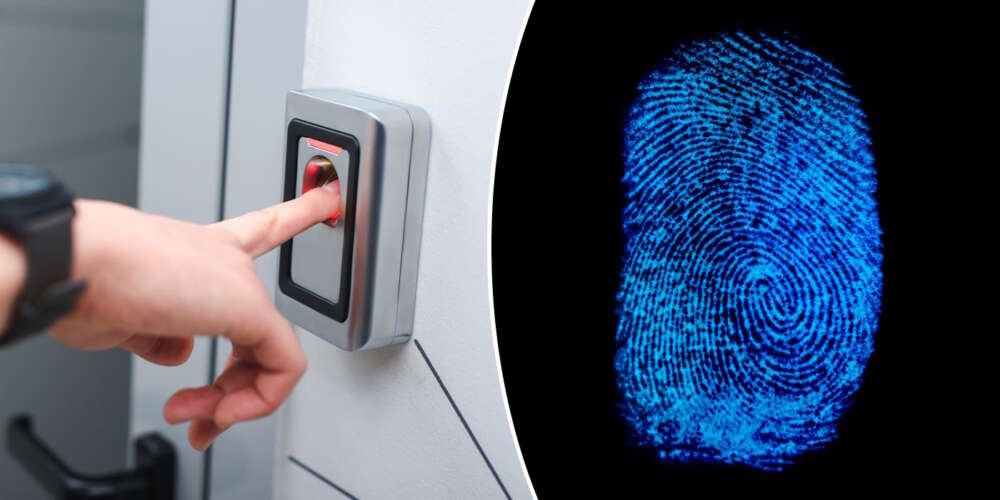 biometrik