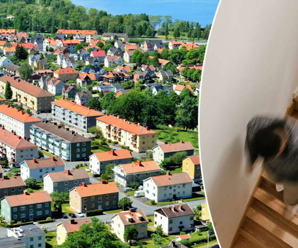 inbrott i källarförråd